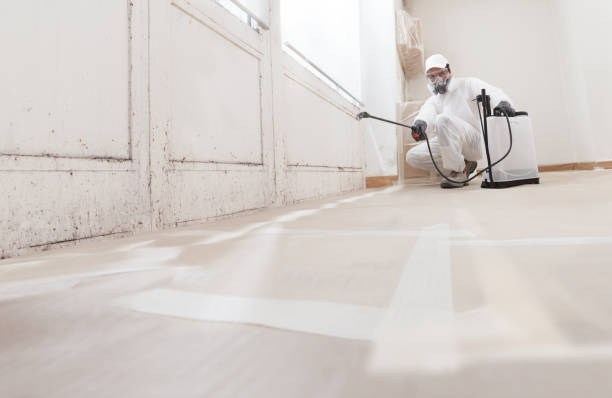 24/7 Emergency Mold Testing experts in Redmond, WA