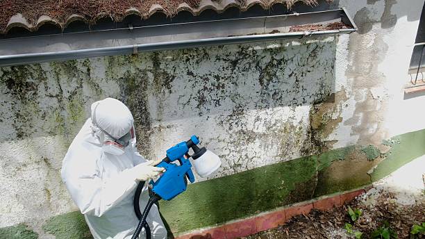 Trusted Mold Testing service in Redmond, WA - Cheap Mold Removal